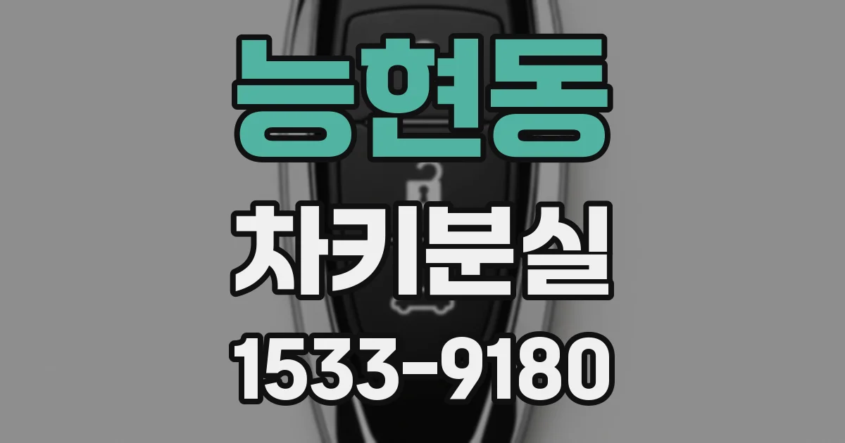 능현동 차키분실