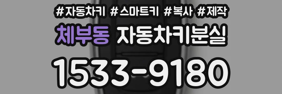 체부동 자동차키분실