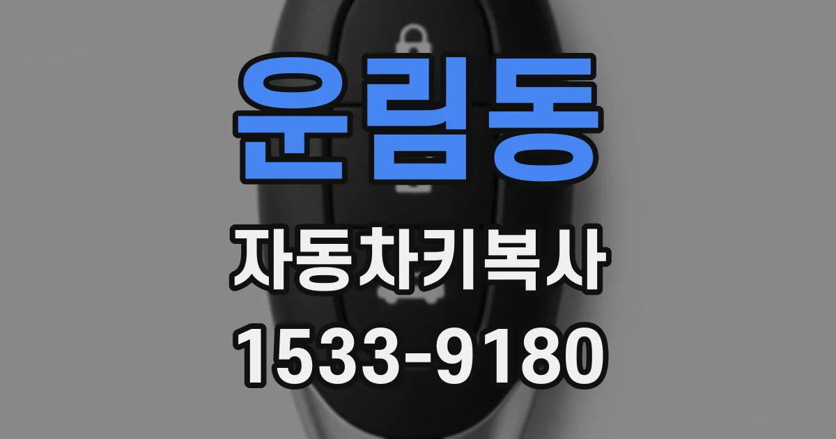 운림동 자동차키복사