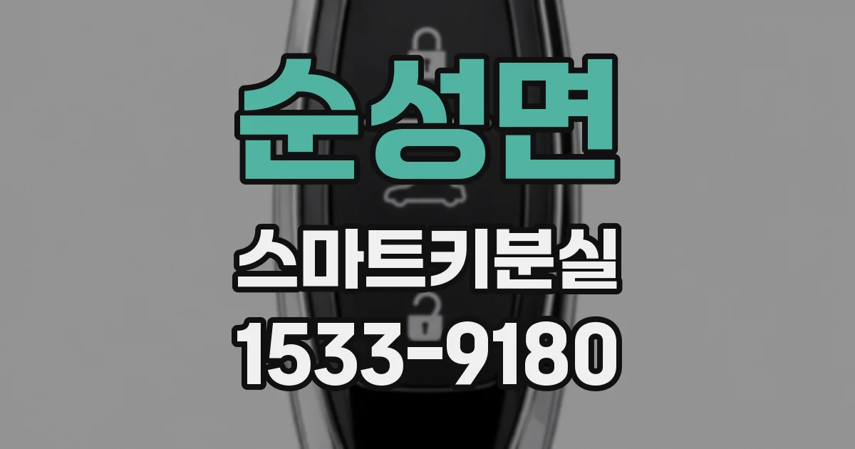 순성면 스마트키분실