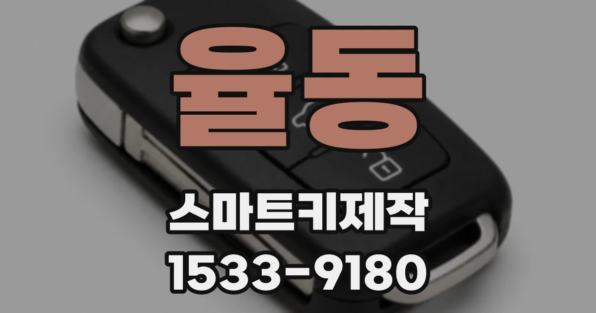율동 스마트키제작