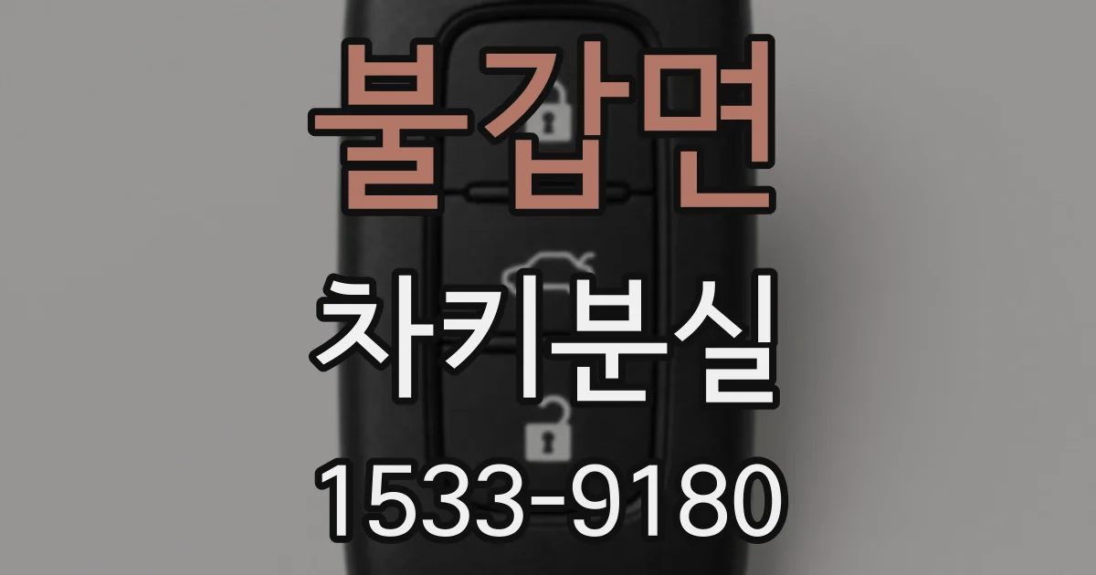 불갑면 차키분실