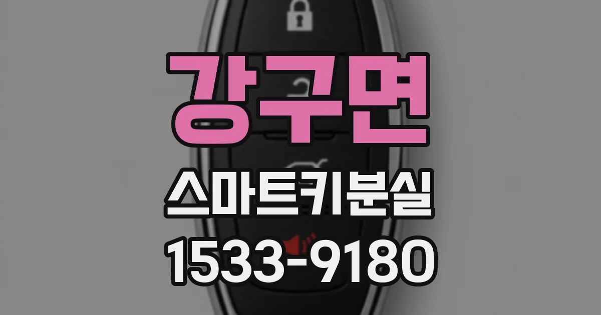 강구면 스마트키분실