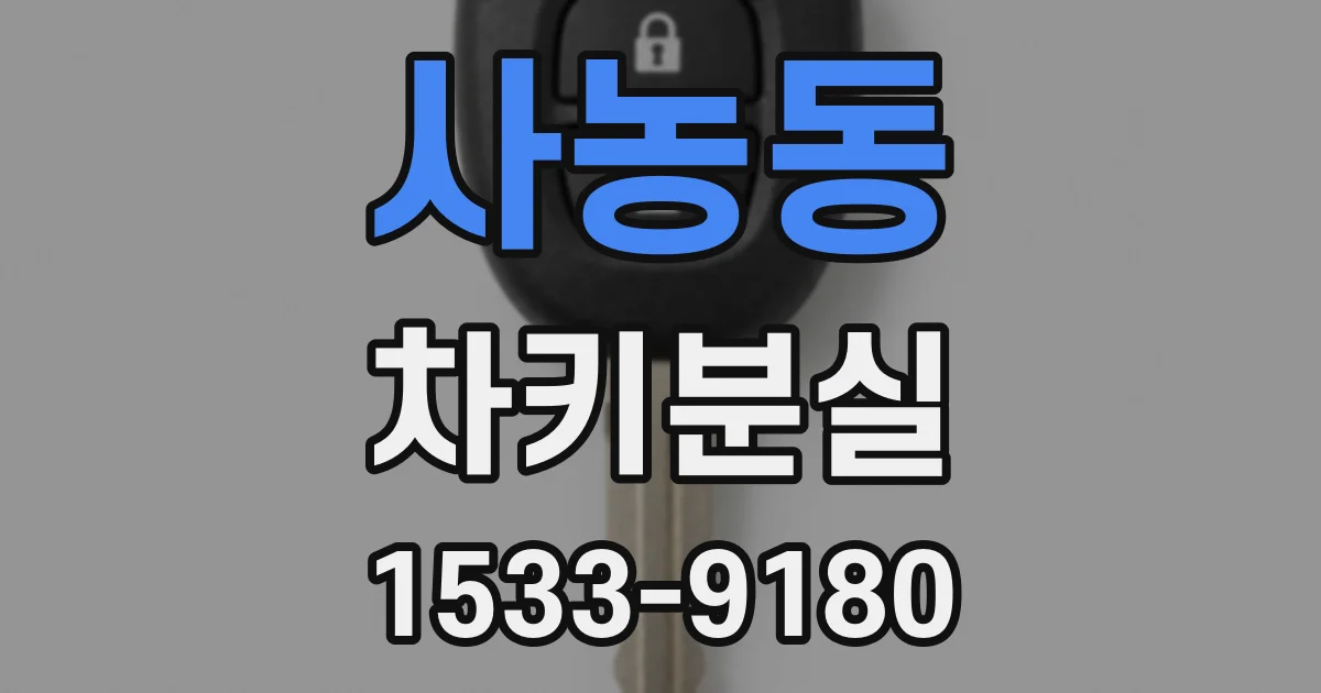 사농동 차키분실