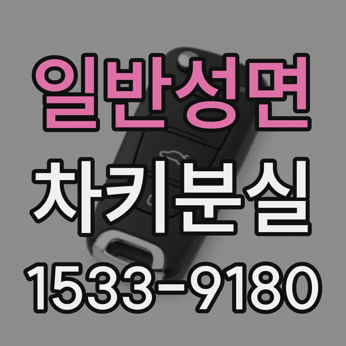 일반성면 차키분실