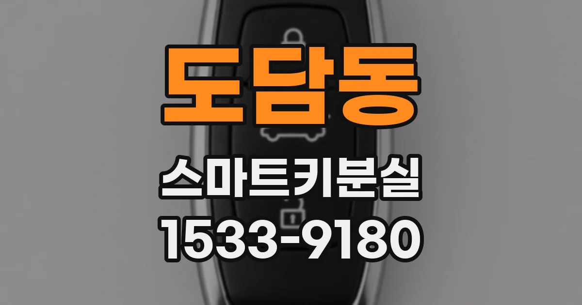 도담동 스마트키분실