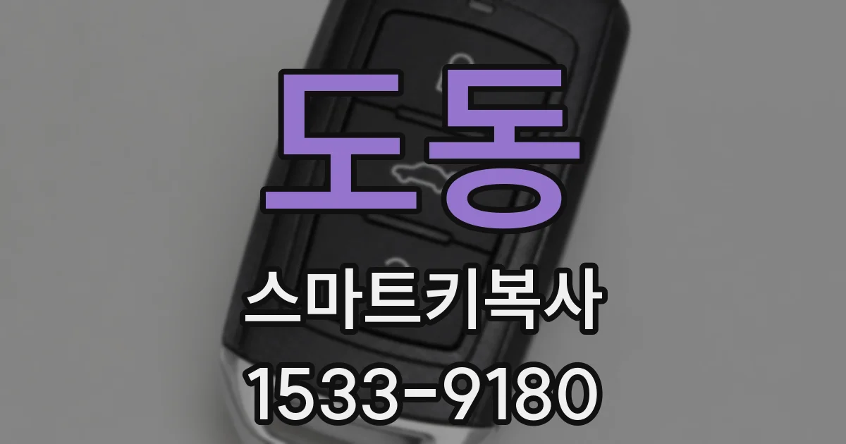 도동 스마트키복사