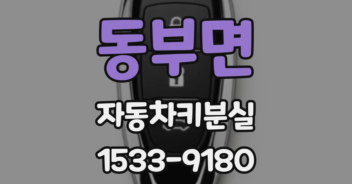 동부면 자동차키분실
