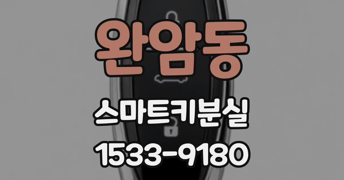 완암동 스마트키분실