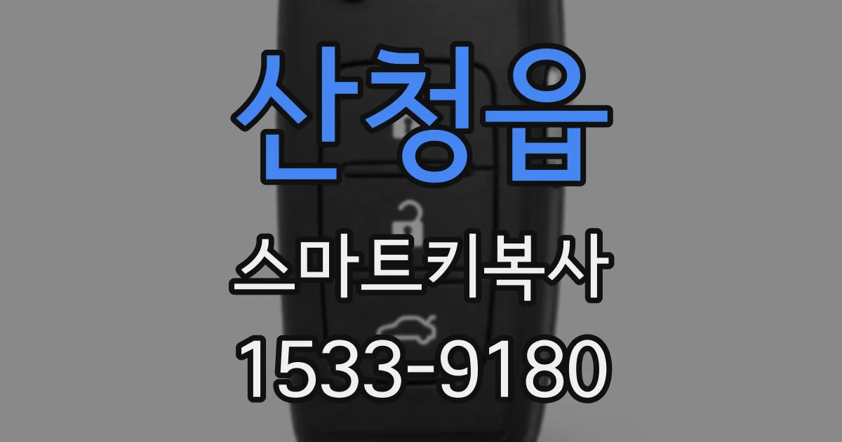 산청읍 스마트키복사