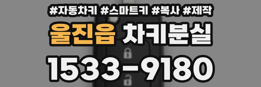 울진읍 차키분실