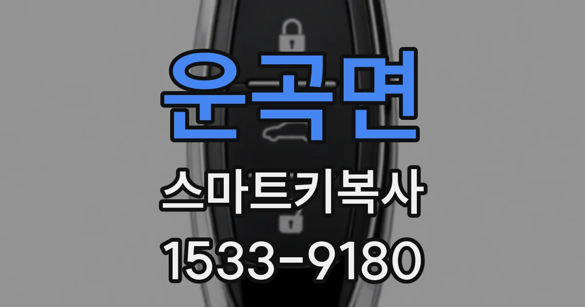 운곡면 스마트키복사
