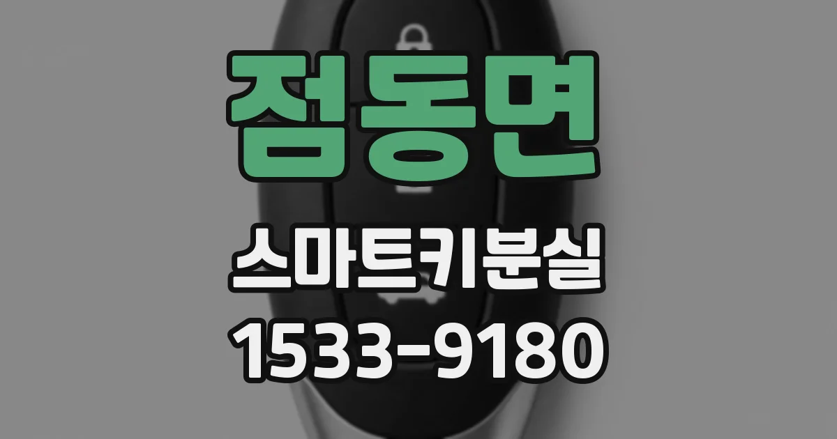 점동면 스마트키분실