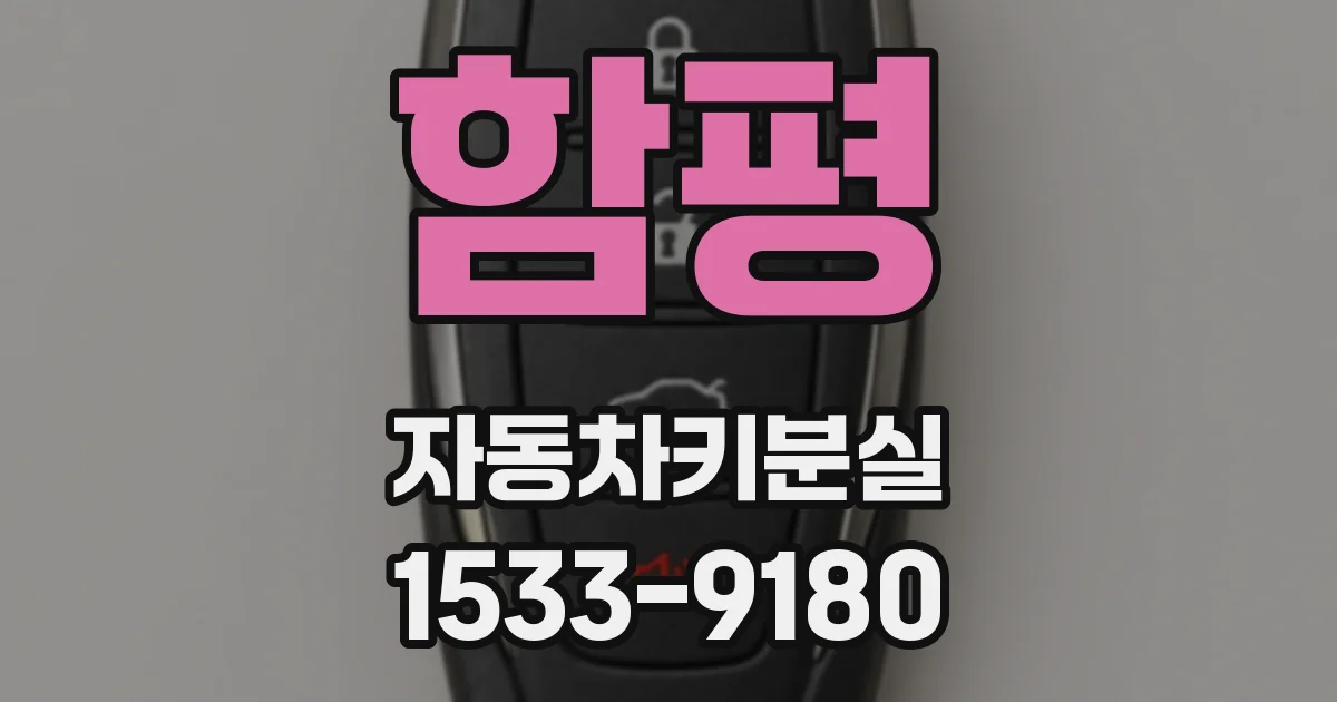 함평 자동차키분실