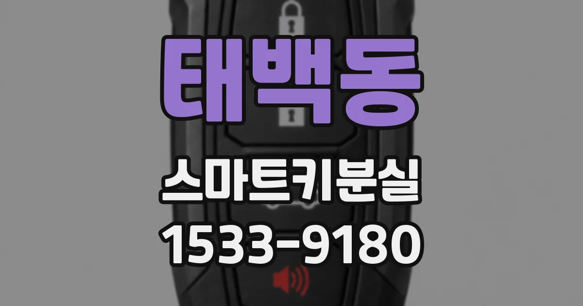태백동 스마트키분실
