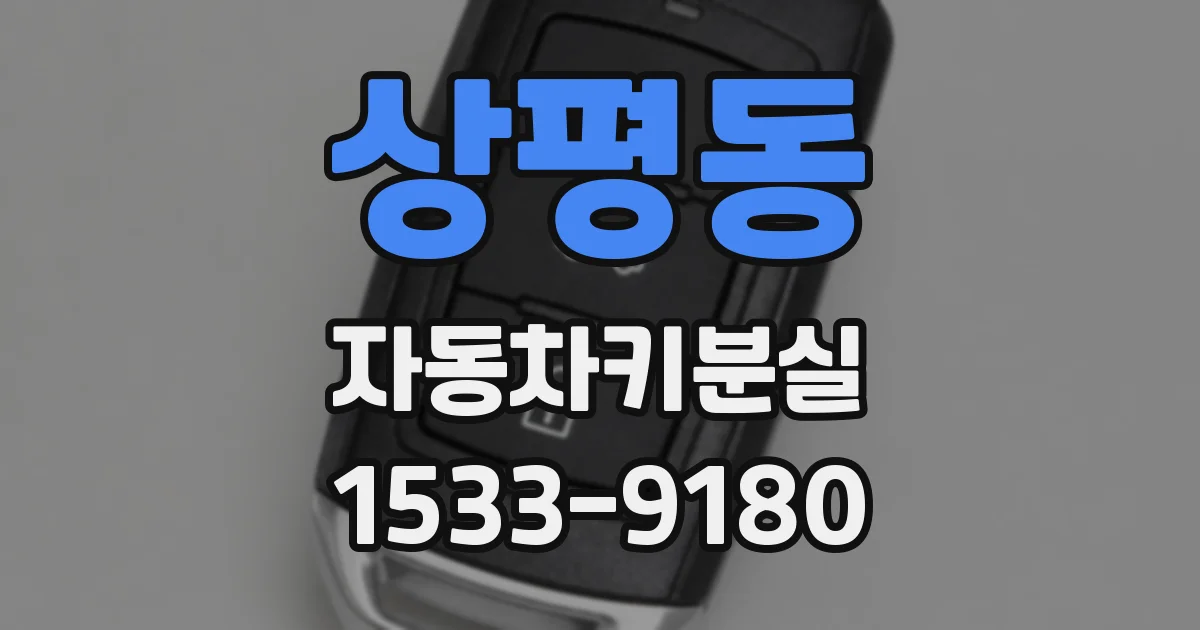 상평동 자동차키분실