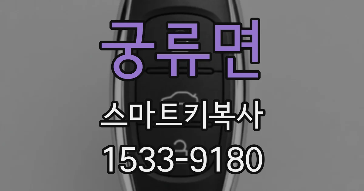 궁류면 스마트키복사