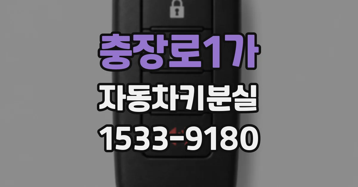 충장로1가 자동차키분실