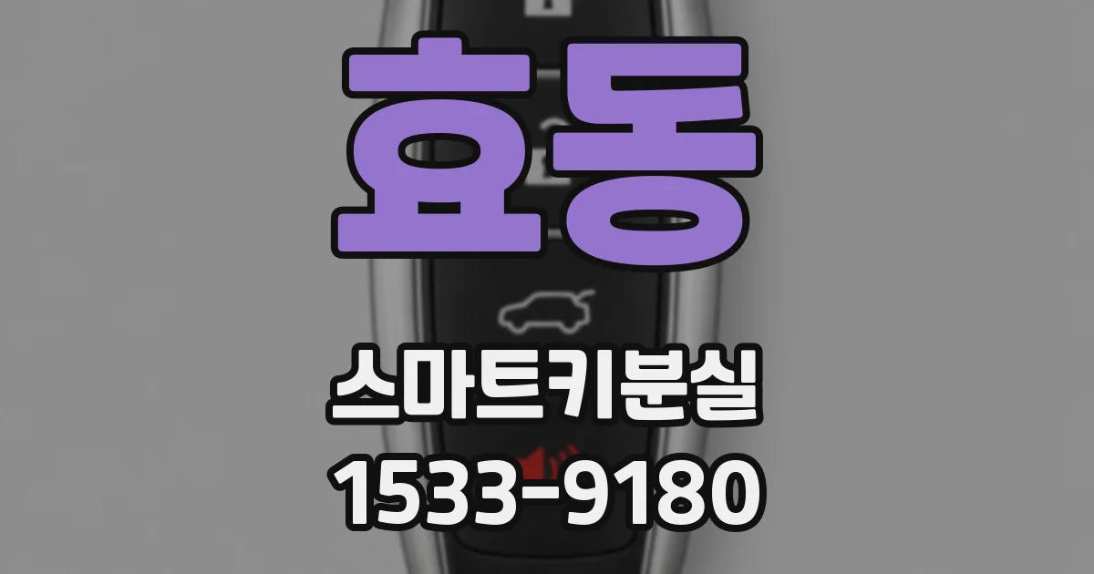 효동 스마트키분실