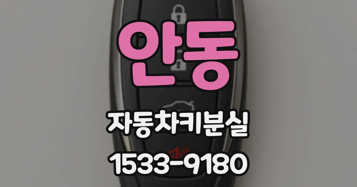 안동 자동차키분실
