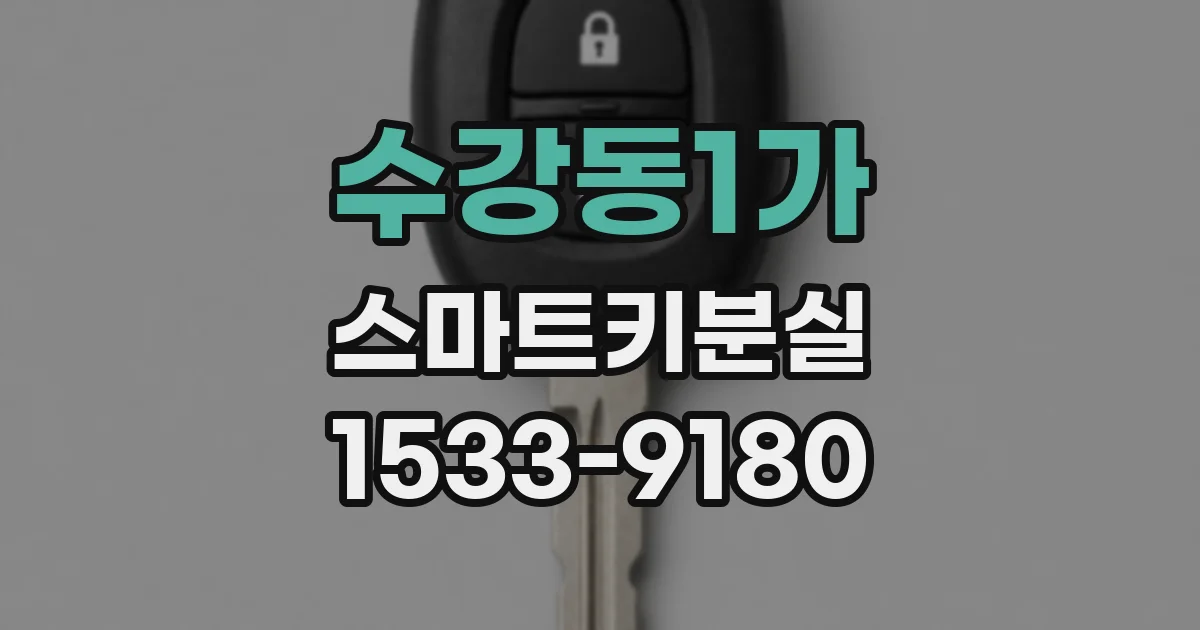 수강동1가 스마트키분실
