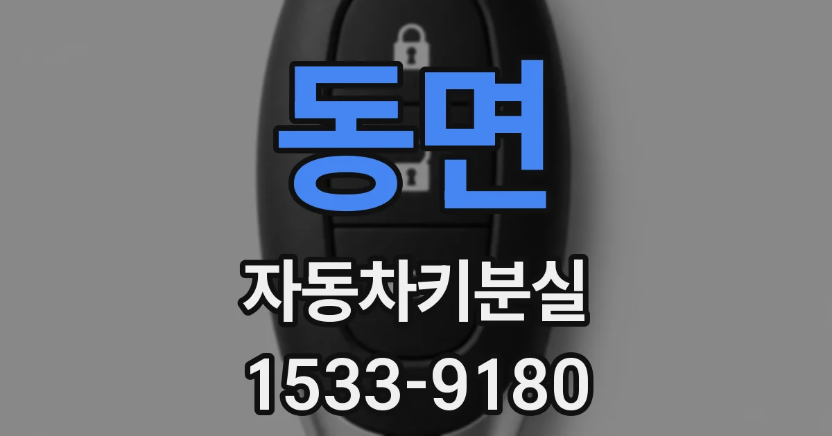 동면 자동차키분실