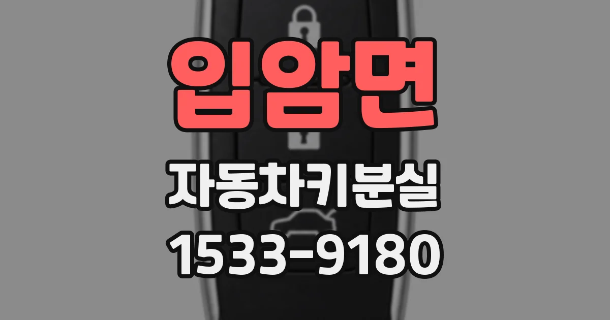입암면 자동차키분실