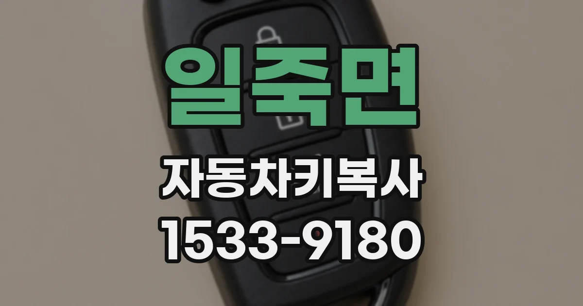 일죽면 자동차키복사