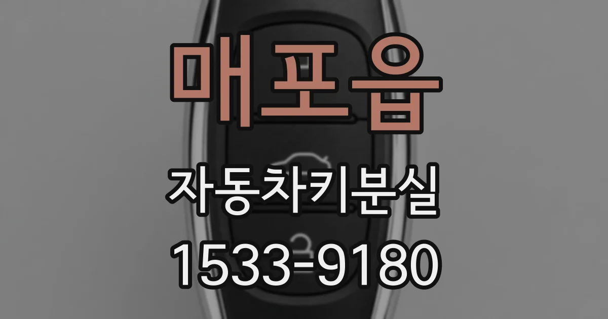 매포읍 자동차키분실