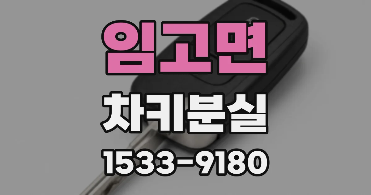 임고면 차키분실