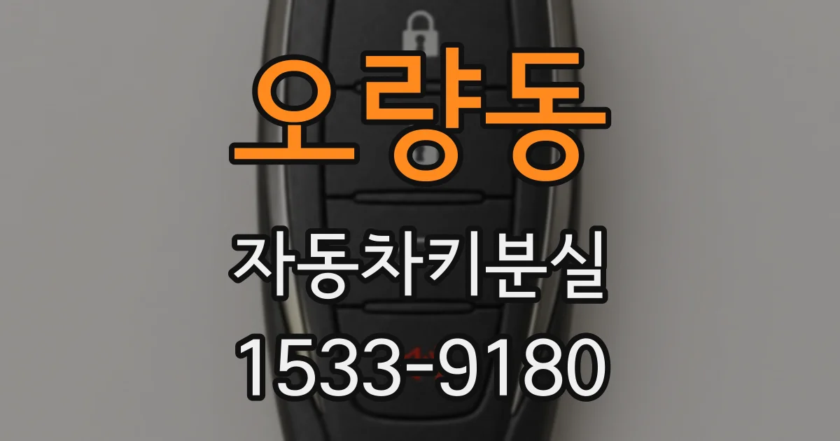 오량동 자동차키분실