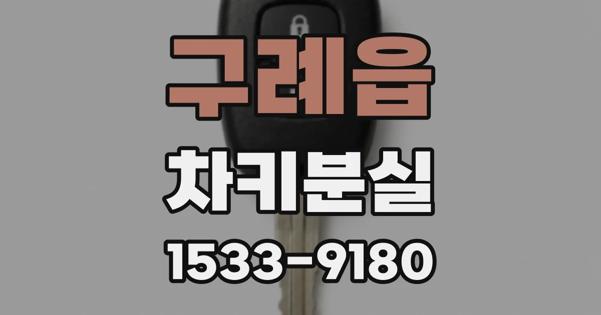 구례읍 차키분실