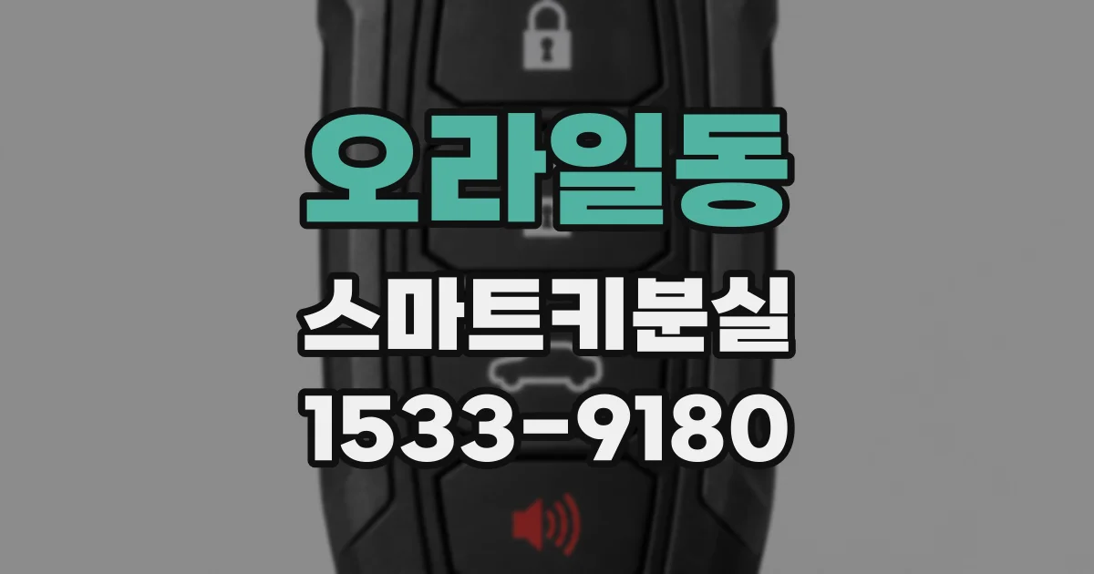 오라일동 스마트키분실