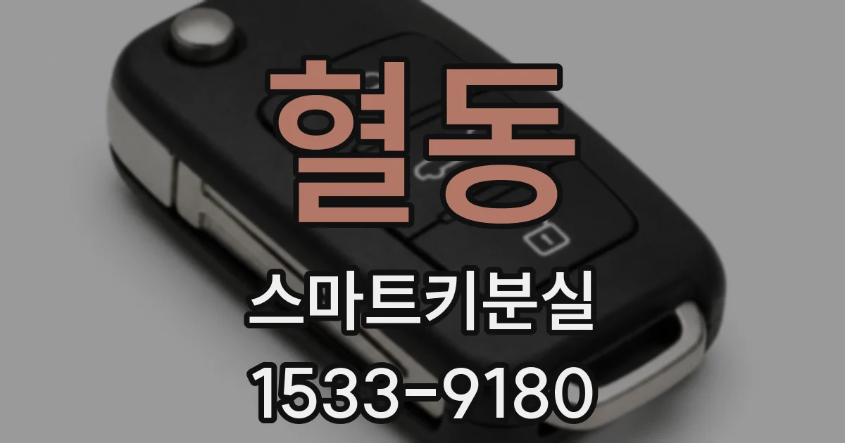 혈동 스마트키분실