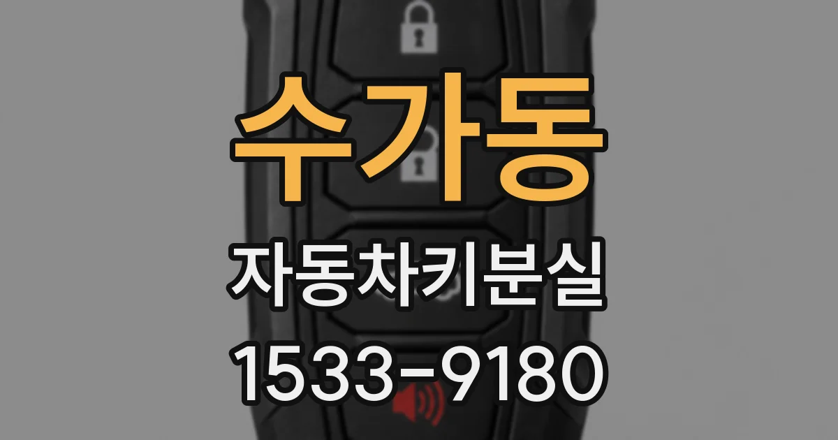 수가동 자동차키분실