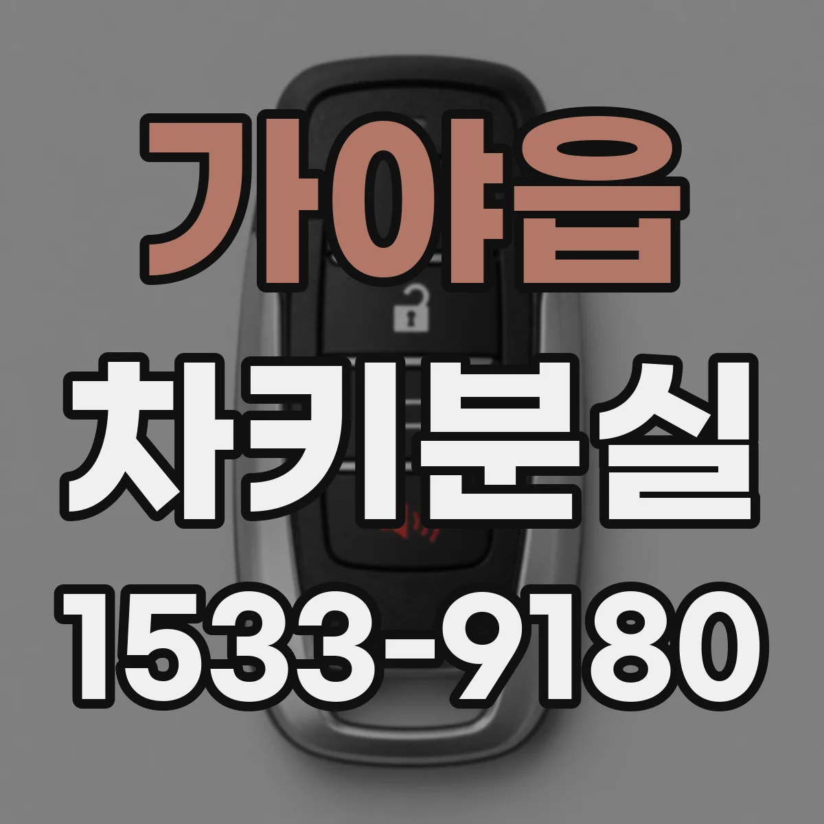 가야읍 차키분실