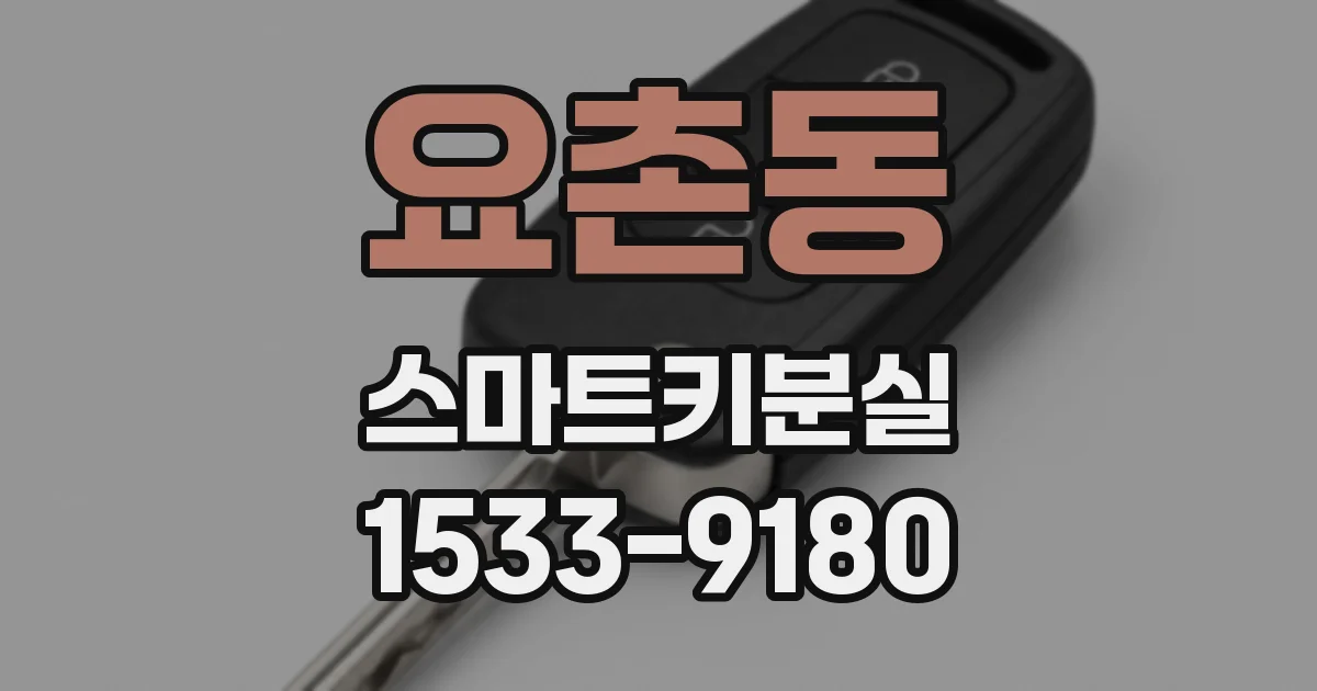 요촌동 스마트키분실