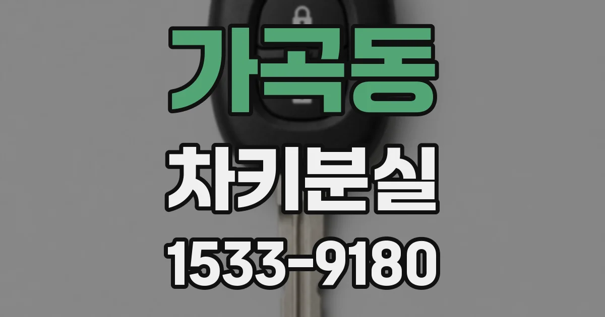 가곡동 차키분실