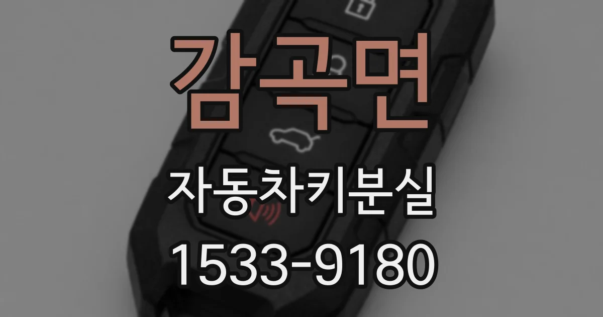 감곡면 자동차키분실