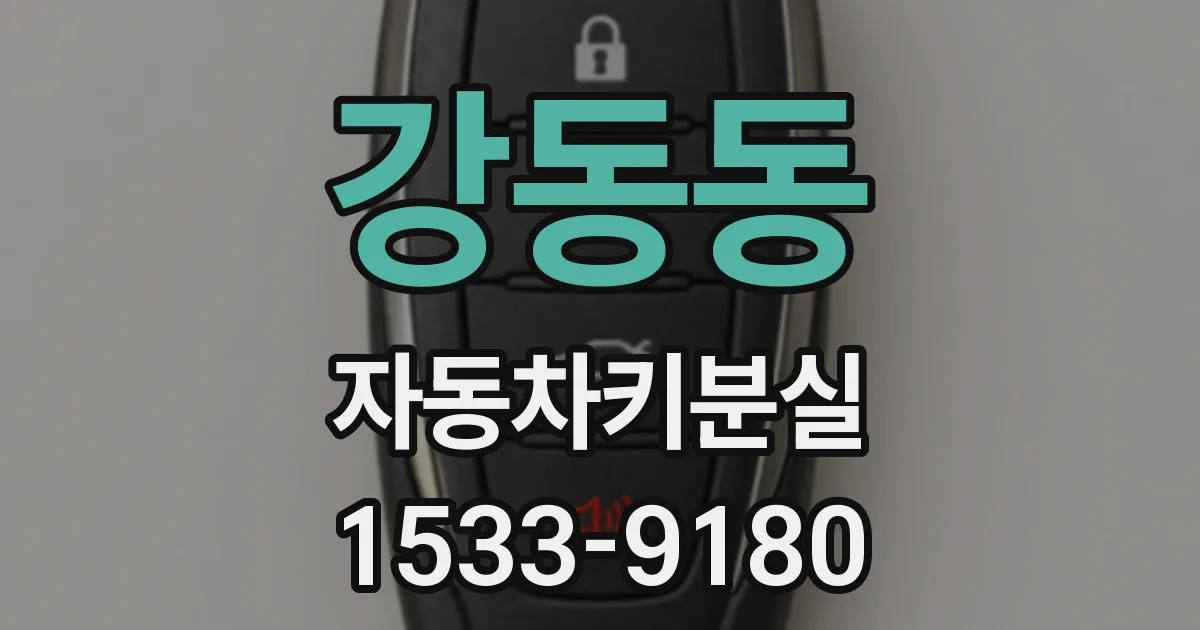 강동동 자동차키분실