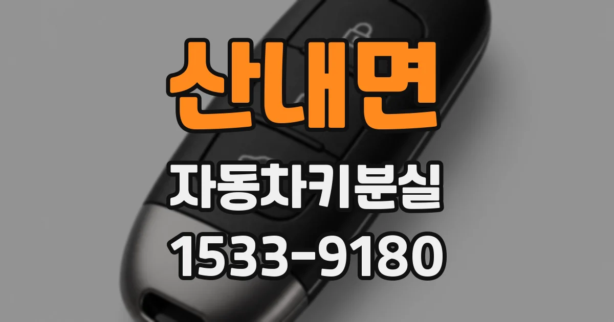 산내면 자동차키분실