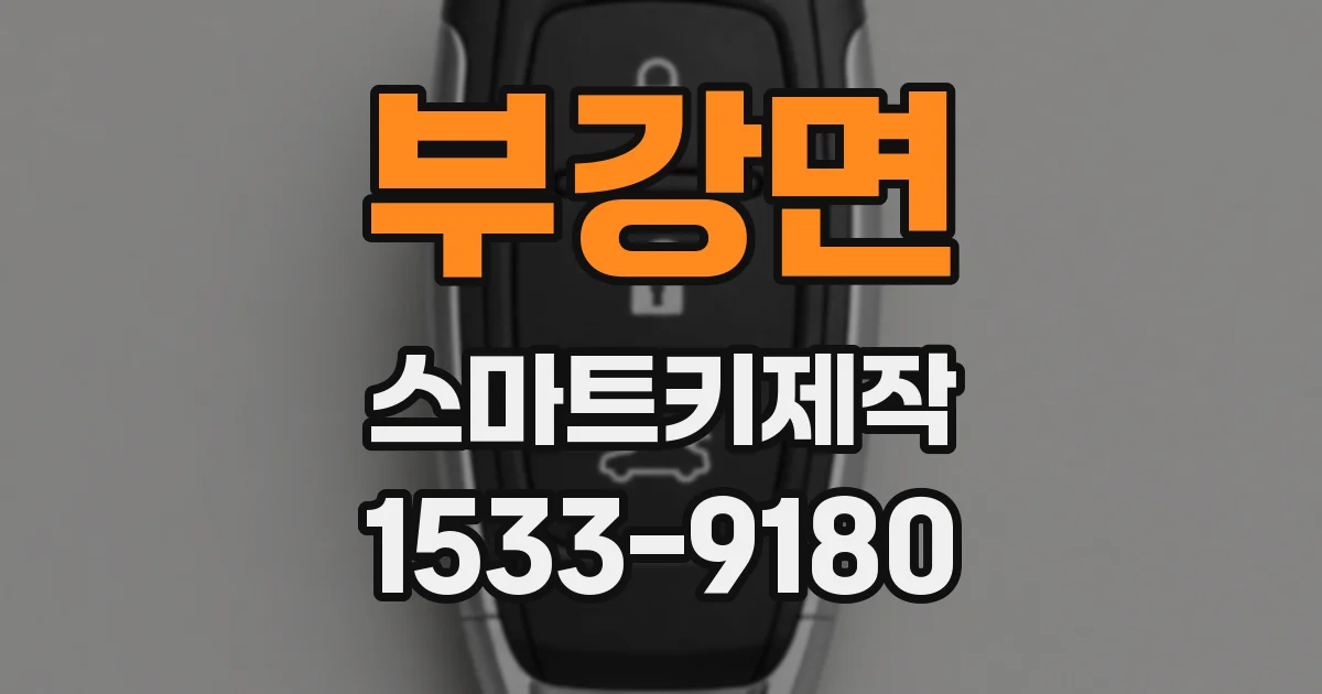부강면 스마트키제작