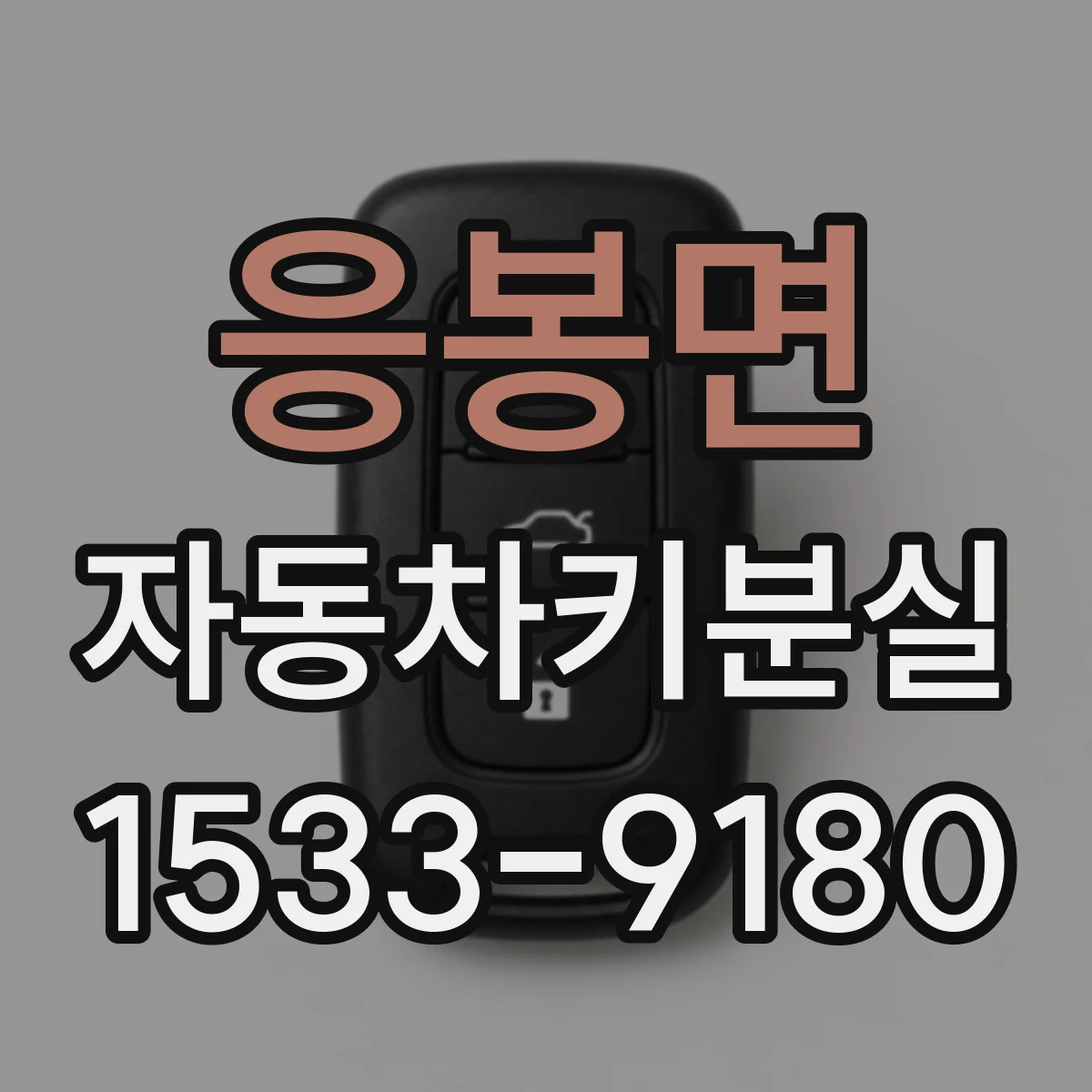 응봉면 자동차키분실