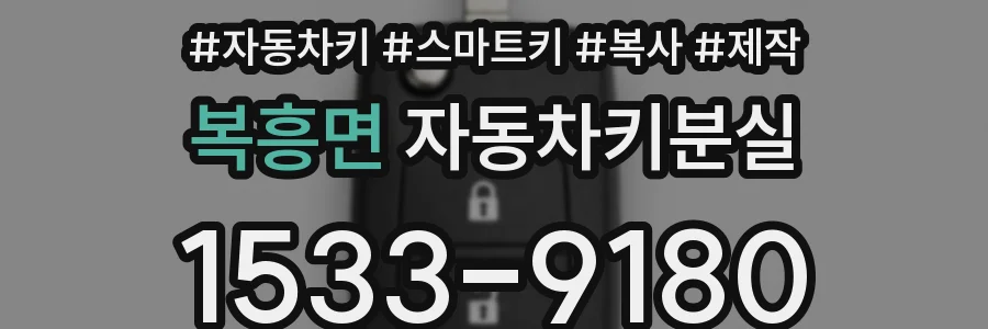 복흥면 자동차키분실