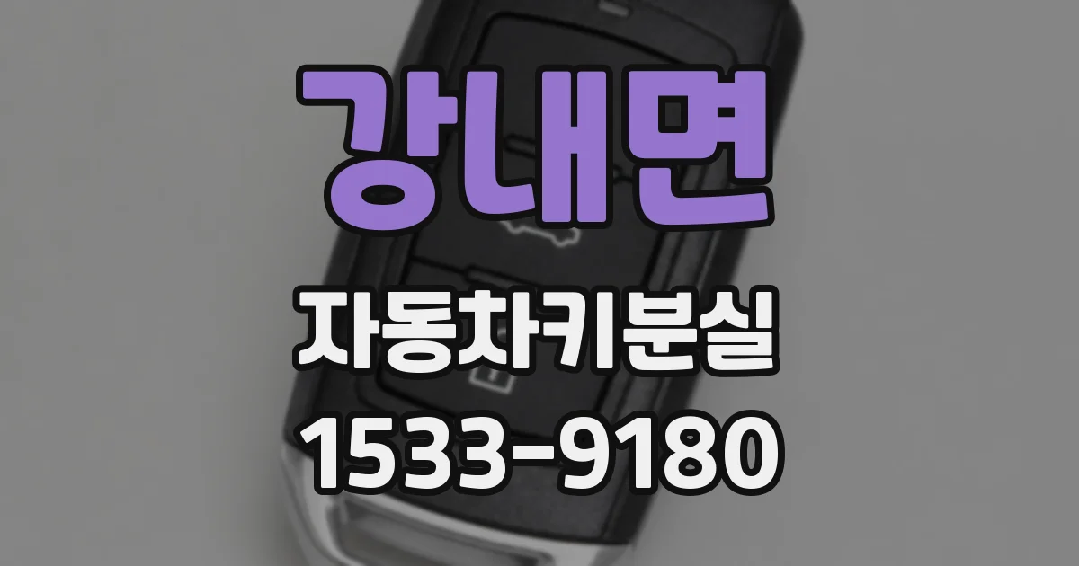 강내면 자동차키분실