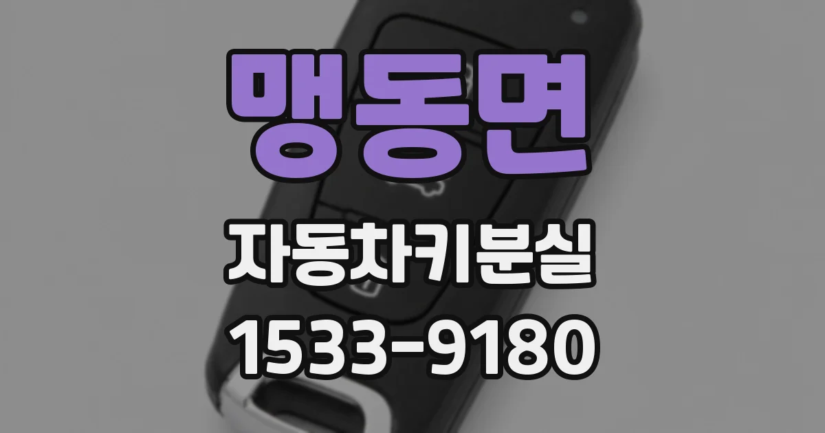 맹동면 자동차키분실