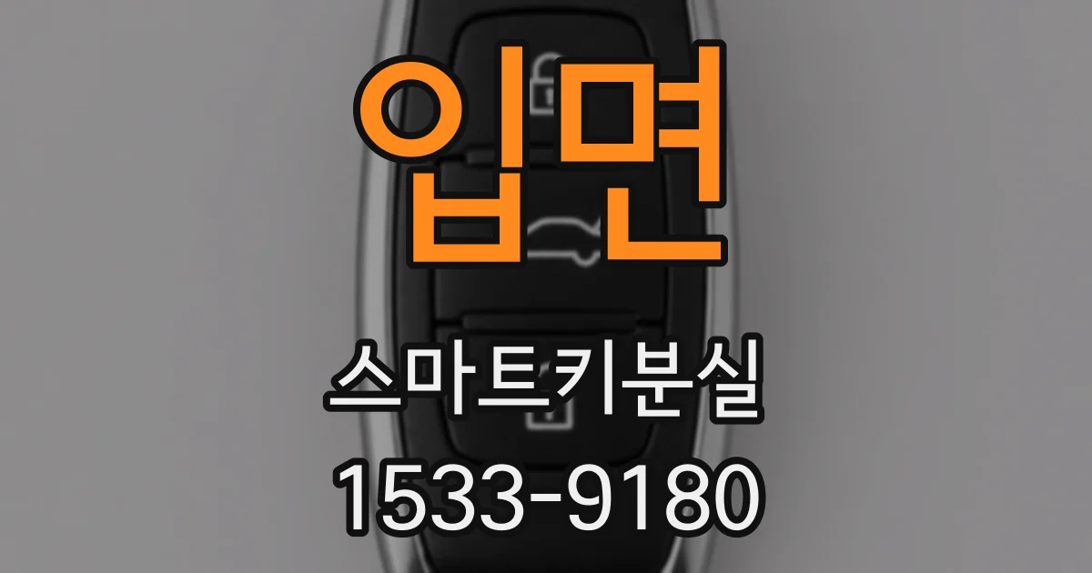 입면 스마트키분실