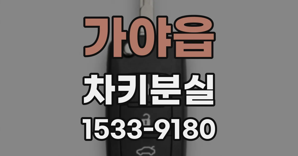 가야읍 차키분실