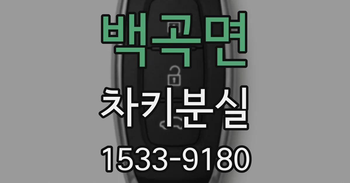 백곡면 차키분실
