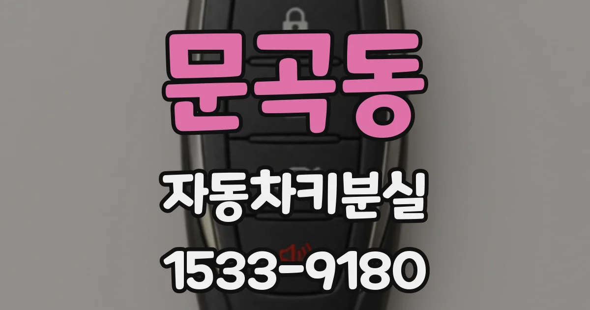 문곡동 자동차키분실